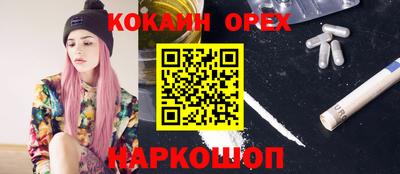 прущие грибы Новодвинск