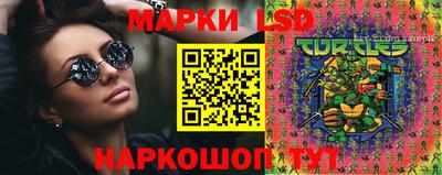 прущие грибы Новодвинск