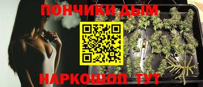 прущие грибы Новодвинск