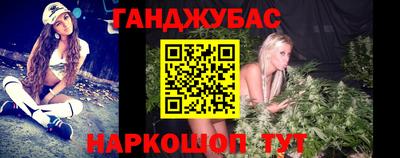 амф Новозыбков