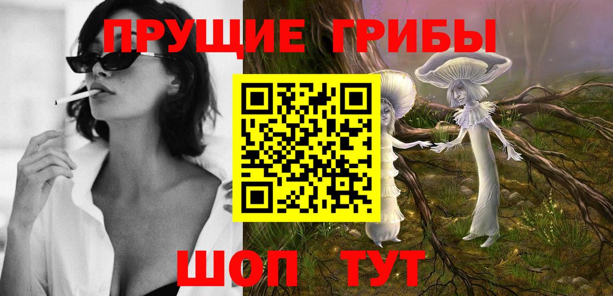 Псилоцибиновые грибы Psilocybine cubensis Фурманов